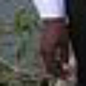 data-img
