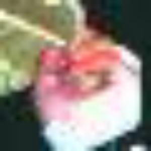 data-img