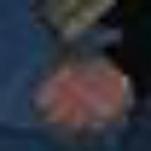 data-img