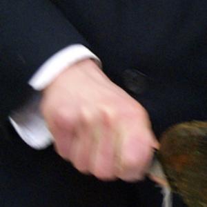 366