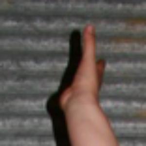 498