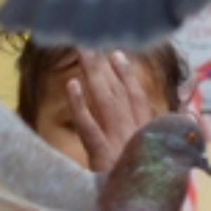 608
